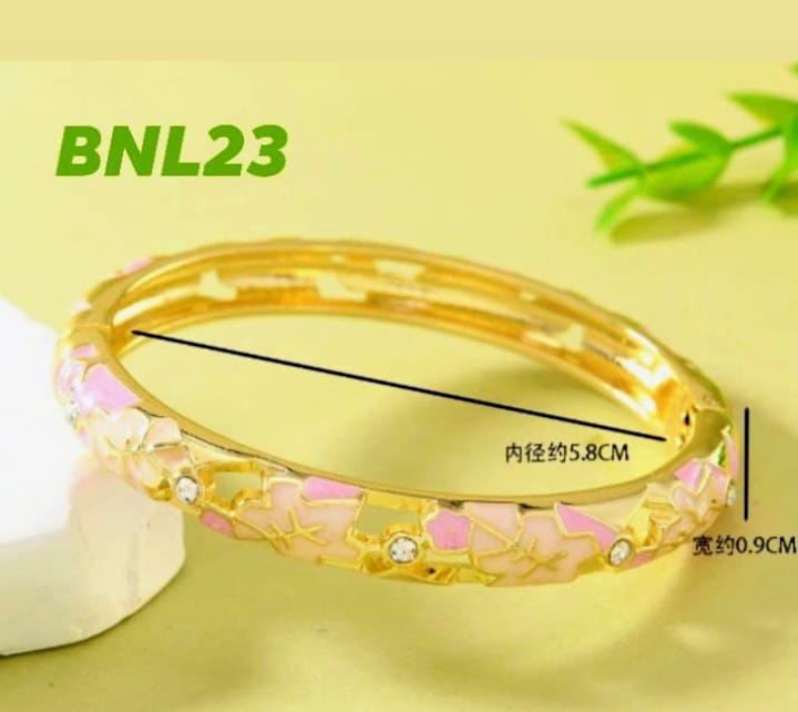 BNL23