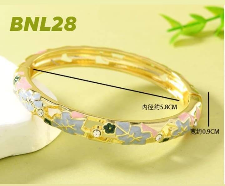 BNL28
