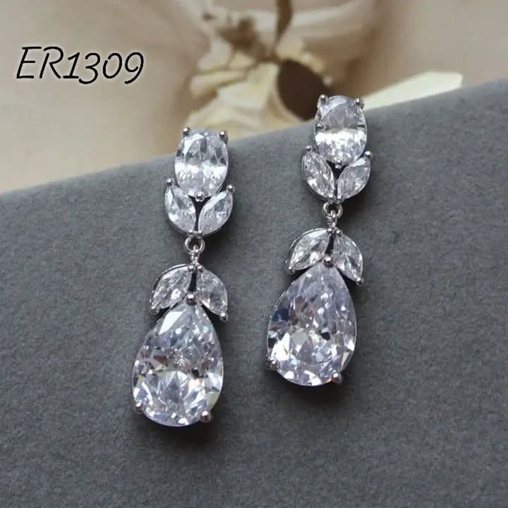 Er1309-B