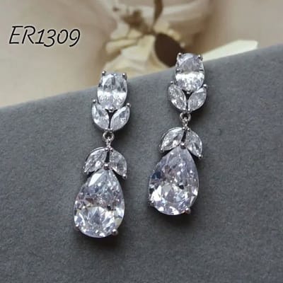 Er1309-B_img_0