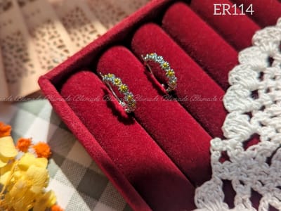 Er114-B_img_0
