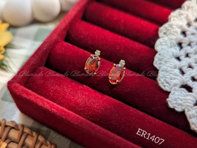 ER1407-B_img_0