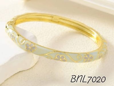 BNL7020_img_0