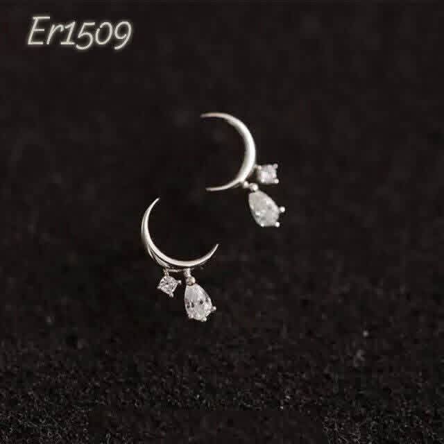ER1509-B