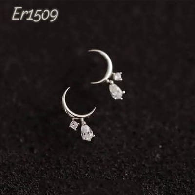 ER1509-B_img_0