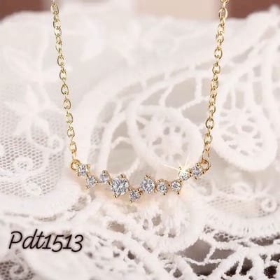PDT1513_img_0