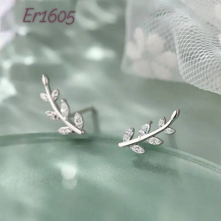 Er1605-B