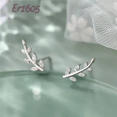 Er1605-B_img_0