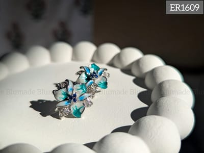 ER1609-B_img_0