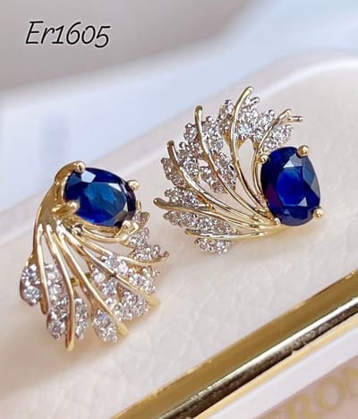 ER1605-B_img_0