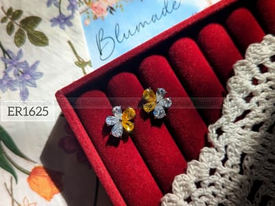 ER1625-B_img_0