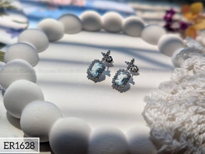 ER1628-B_img_0