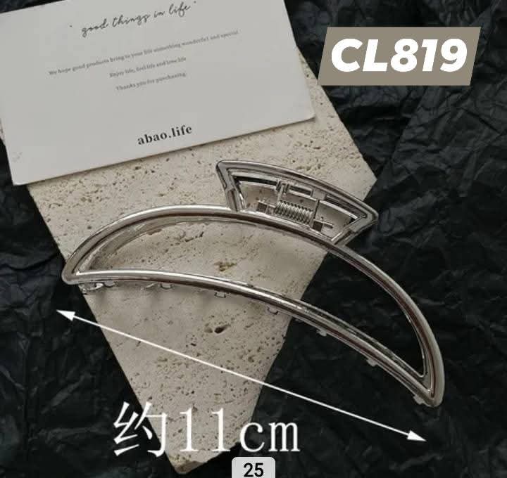Cl819