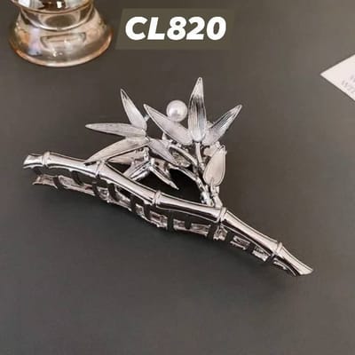 Cl820_img_0
