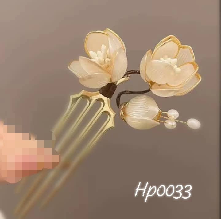 Hp0033 Hairpin