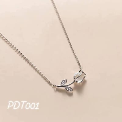 pdt001 locket_img_0