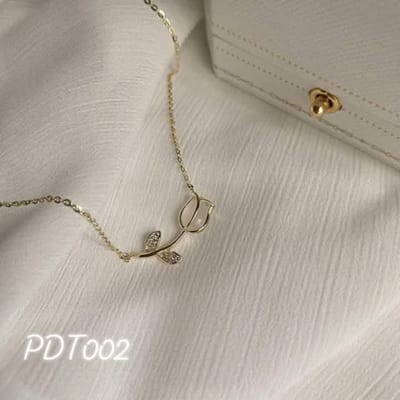 pdt002 locket_img_0