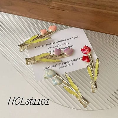 Hclst1101_img_1