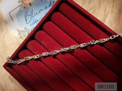 Br1101-B_img_1
