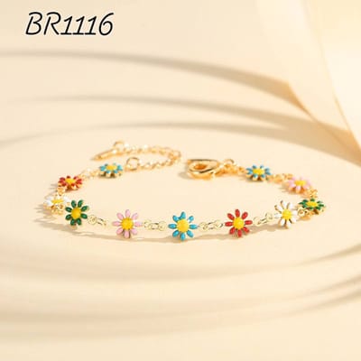 br1116_img_0