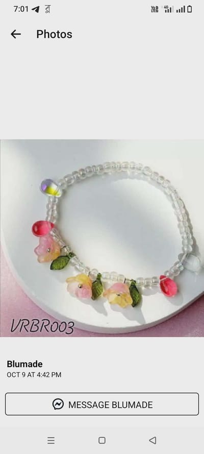 vrbr003_img_0