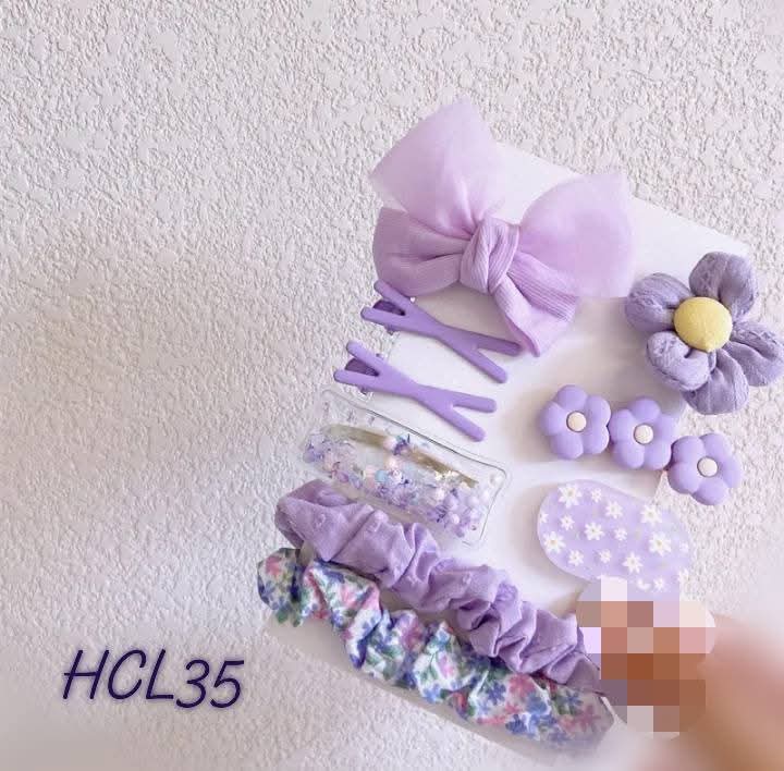 HCL35 hairclip set