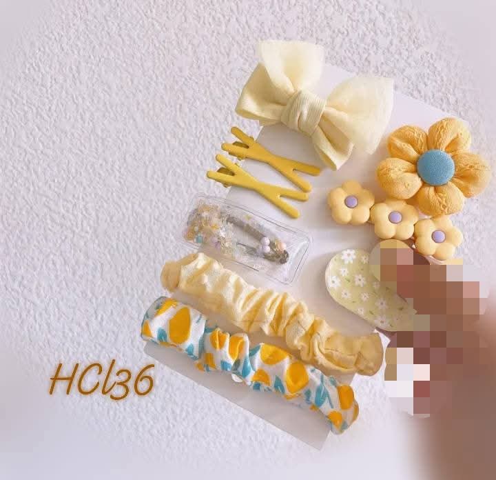 hairclip set
