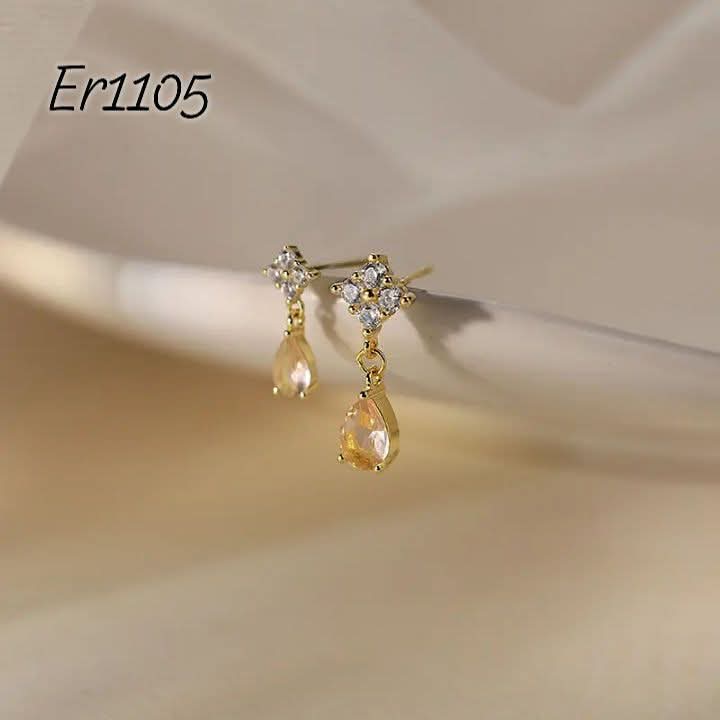 Er1105