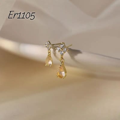 Er1105_img_0