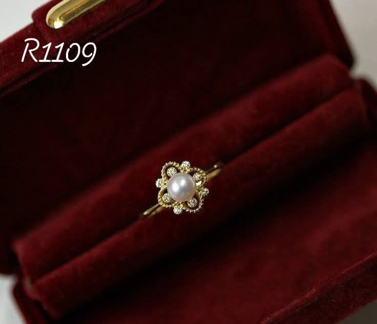 R1109-adjustable