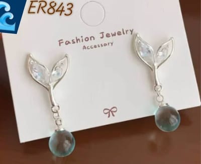 Er843_img_0