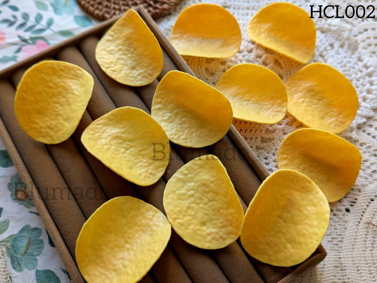2pcs chips hairclip