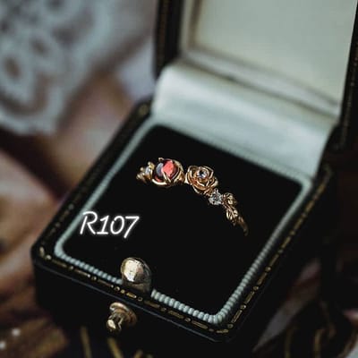 R107 adjustable_img_0