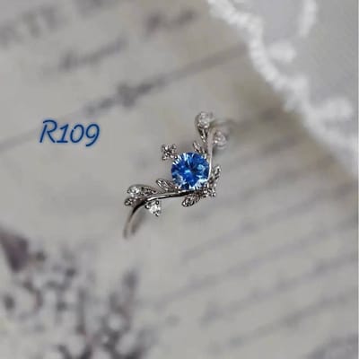 R109 Adjustable_img_0