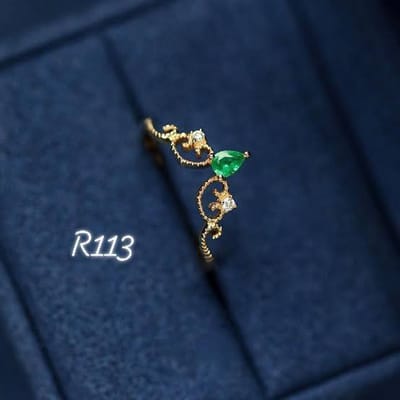 R113 Adjustable_img_0