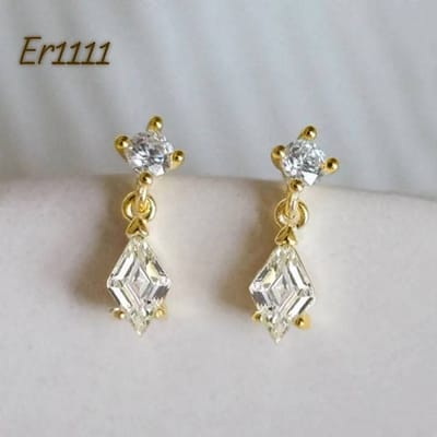 Er1111-B_img_0