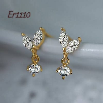 Er1110-B_img_0