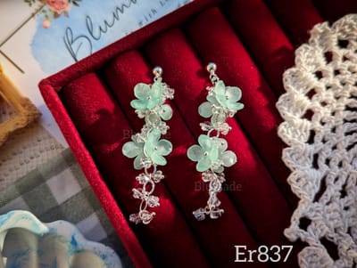 Er837_img_0