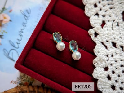 Er1202-B_img_1