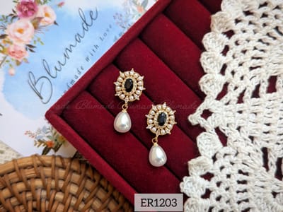 Er1203-B_img_0