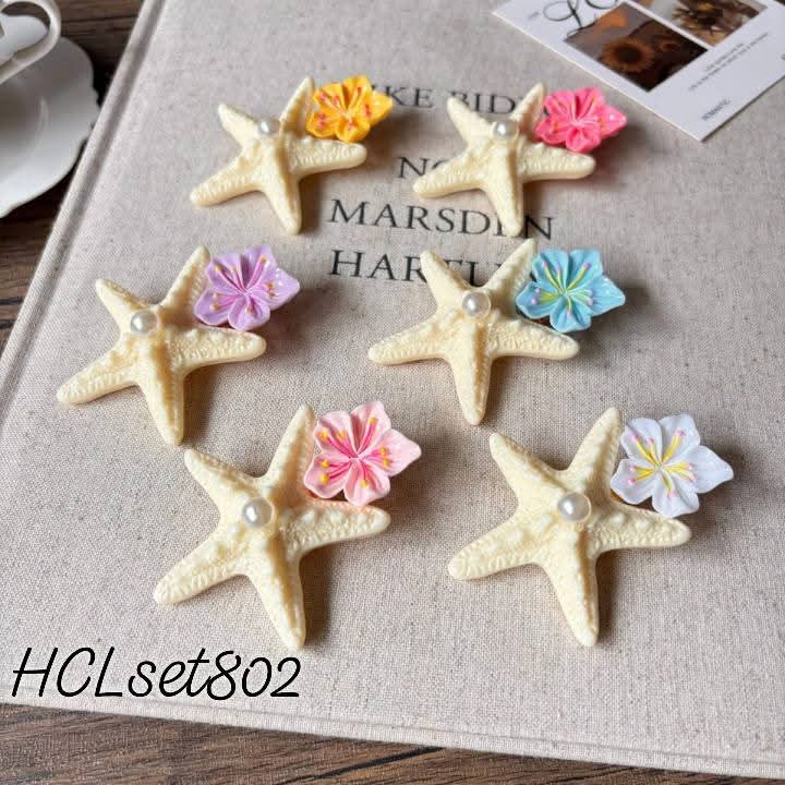 HCLset802 hairclip set