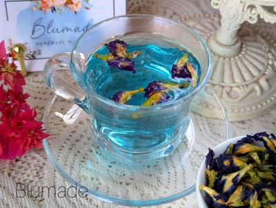 blue pea tea_img_0