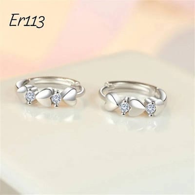Er113-B_img_0