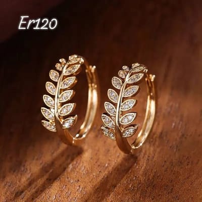 Er120-B_img_0