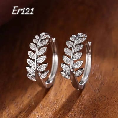 Er121-B_img_0