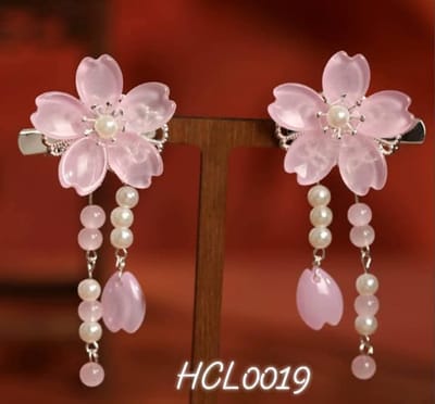 hcl0019,20,21,22,23 1pair Hairclip_img_0