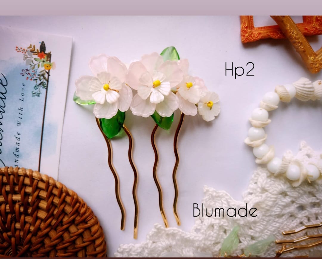 Hp2 hairpin