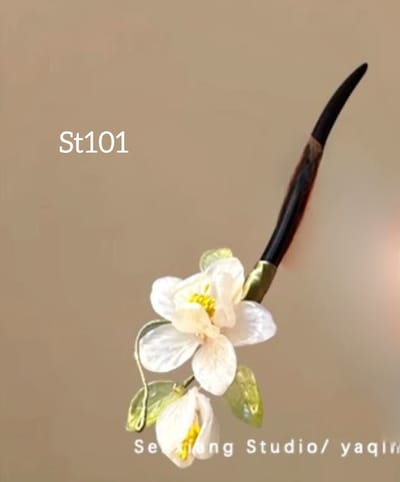 St101_img_0