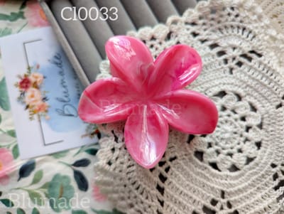 cl0029,0033 1pc claw clip_img_1