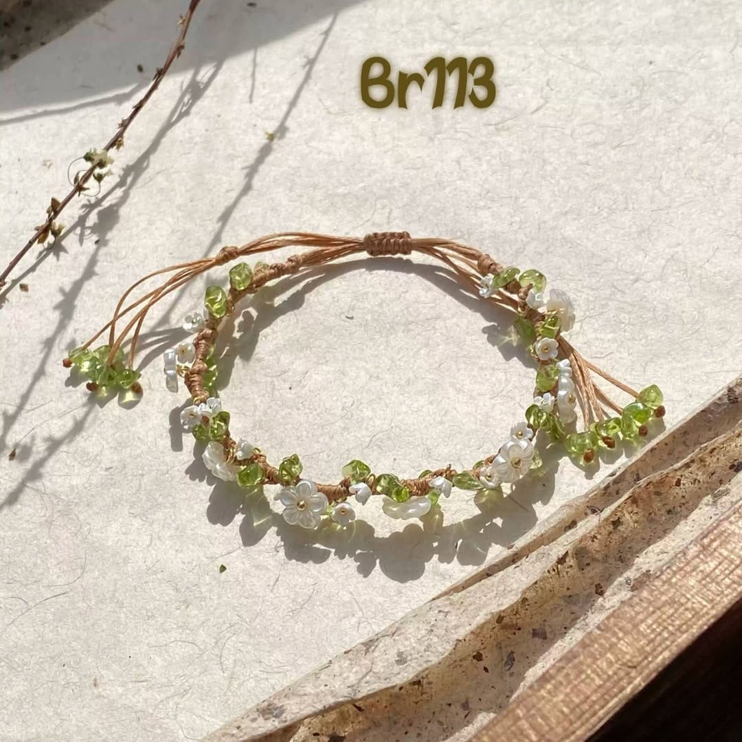 Br113